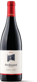 Modri pinot
